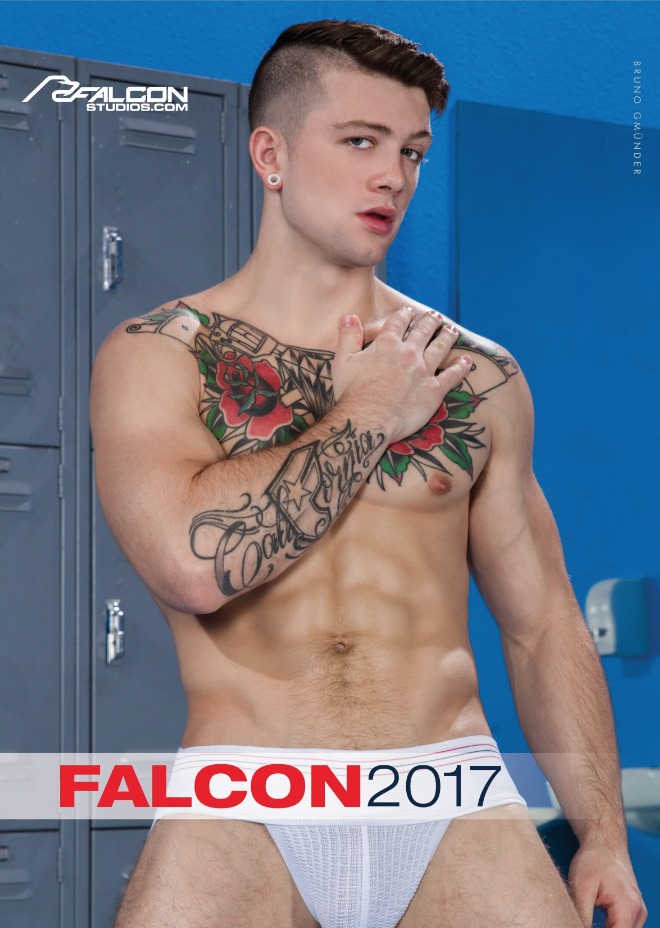 falcon-2017-calendar